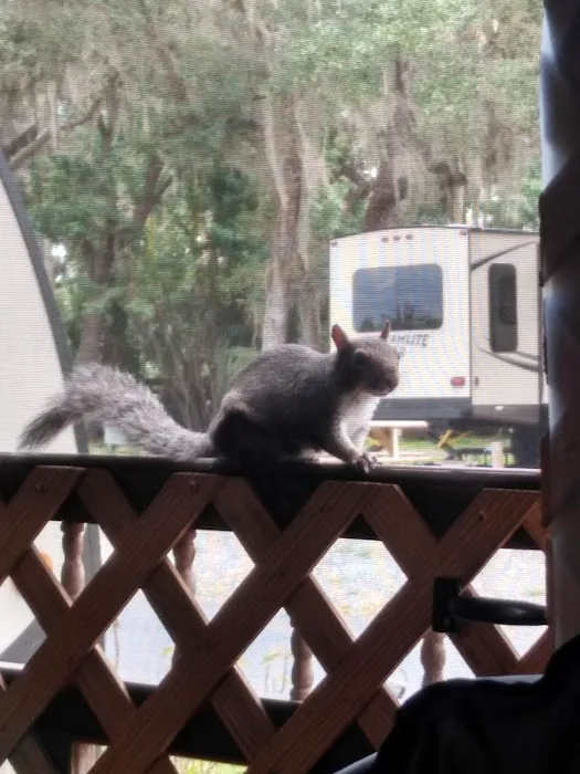 River Oaks RV Resort 10