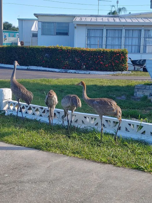 Lake Garden Mobile Home Park 1