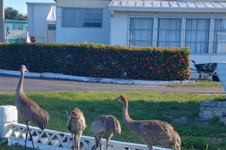 Lake Garden Mobile Home Park