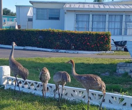 Lake Garden Mobile Home Park