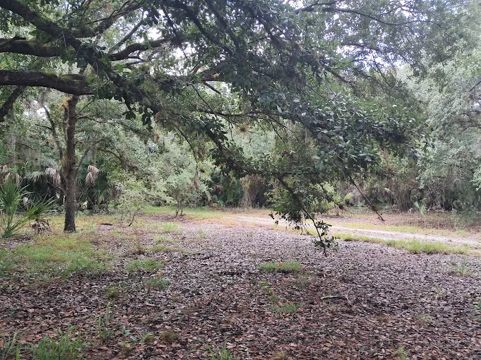 Chandler Slough West Campsite 3