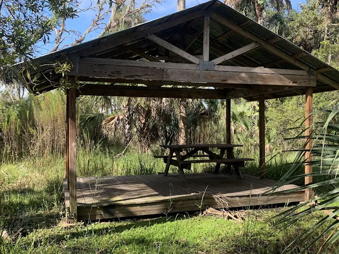 Primitive Campsite 2