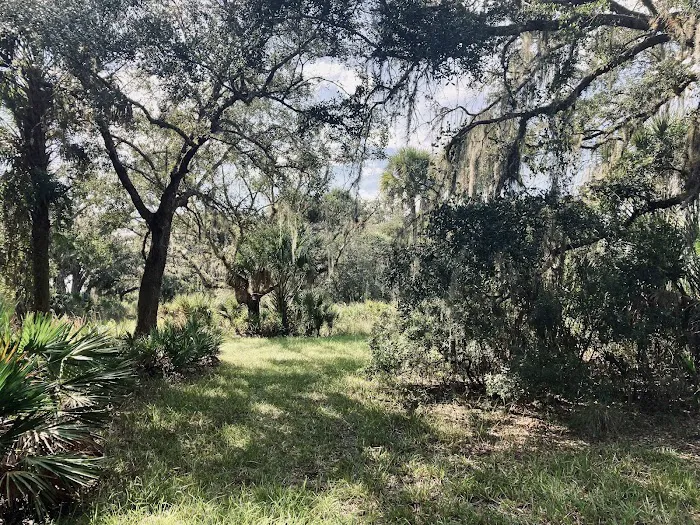Primitive Campsite 8
