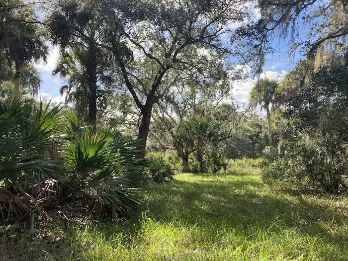 Primitive Campsite 10