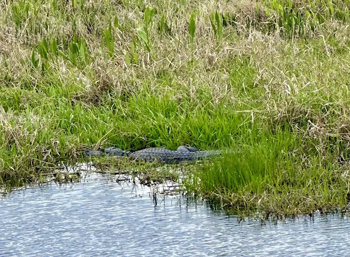 Kissimmee Prairie Preserve Family Campground 2