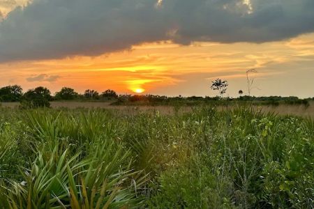 Kissimmee Prairie Preserve Family Campground