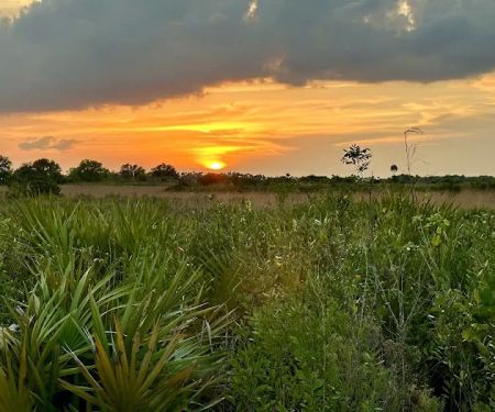 Kissimmee Prairie Preserve Family Campground