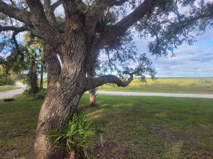 Kissimmee Prairie Preserve Family Campground 6