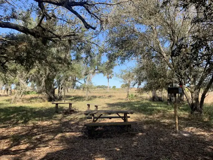 Northern Boundary/Pine Island Slough Campsite 1