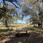 Northern Boundary/Pine Island Slough Campsite