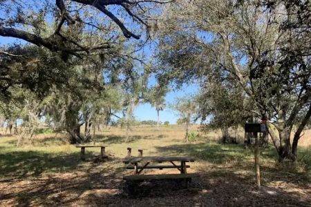 Northern Boundary/Pine Island Slough Campsite