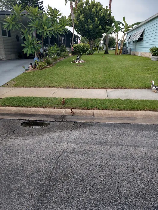 Lakewood Village 1