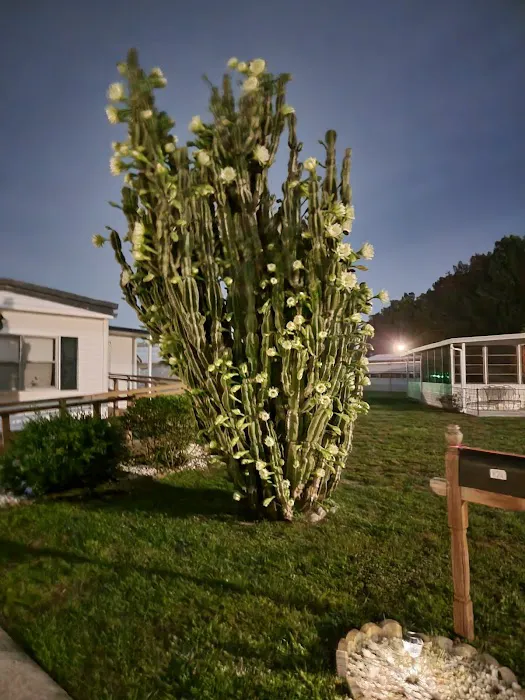 Port Malabar Holiday Park 9