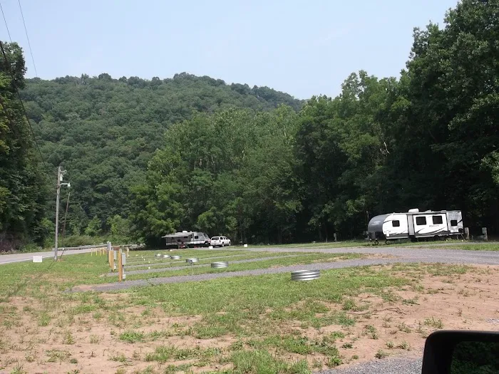 Camp Floppy Fish 1