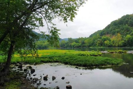 Berry's Campground