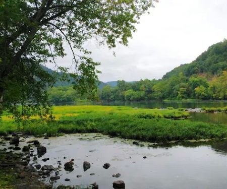 Berry's Campground