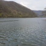 Bass Lake Park