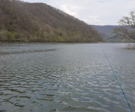 Bass Lake Park