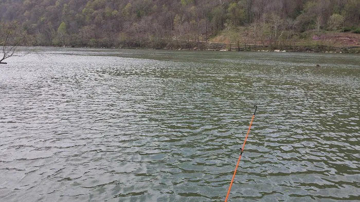 Bass Lake Park 4