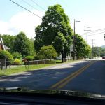 US Forestry Department