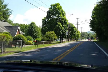 US Forestry Department