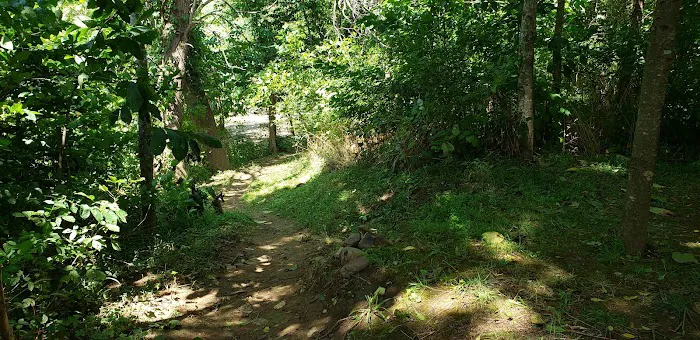 Breeden Bottom Campground Twin River 5