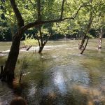 Breeden Bottom Campground Twin River