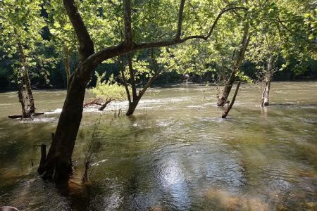 Breeden Bottom Campground Twin River