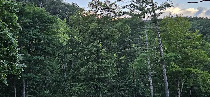 Whispering Pines Campground 9