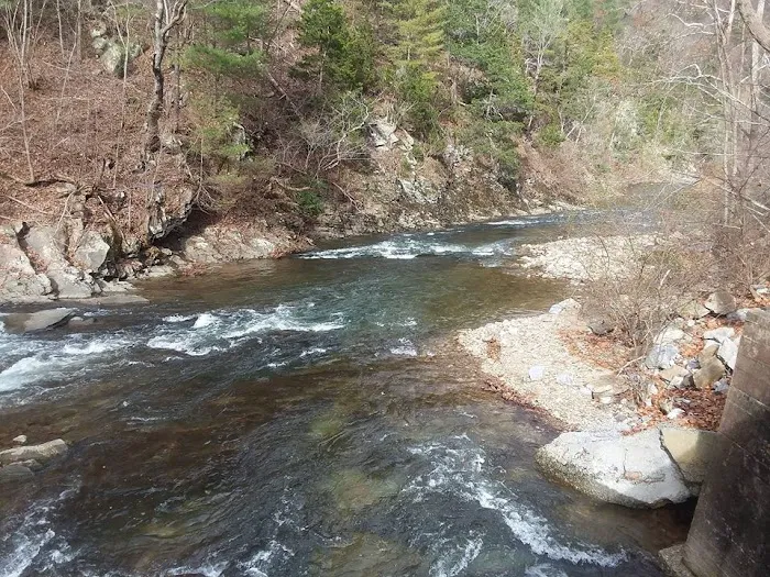 Middle Creek Campground 5
