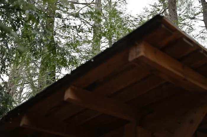 Bryant Ridge Shelter 4
