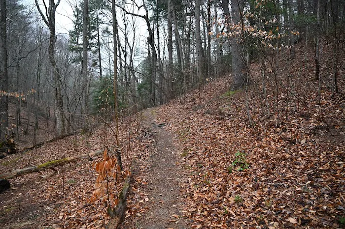 Bryant Ridge Shelter 8