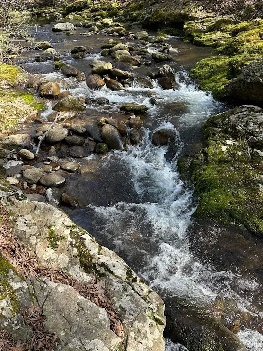 North Creek Campground 1