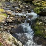 North Creek Campground