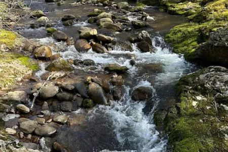 North Creek Campground