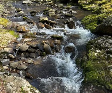 North Creek Campground