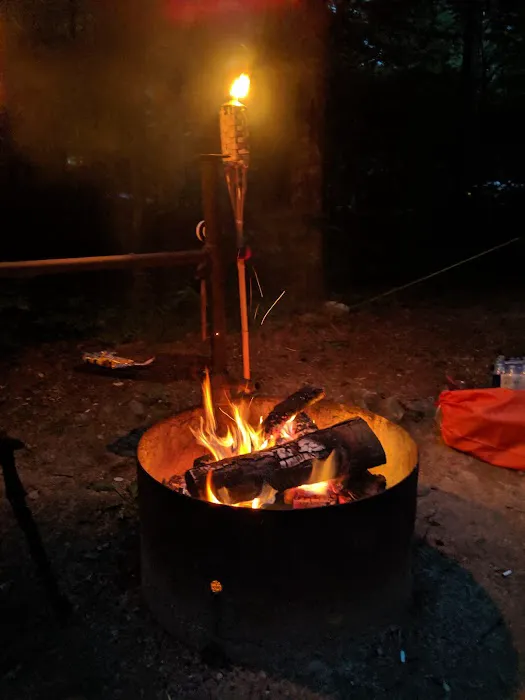 North Creek Campground 7