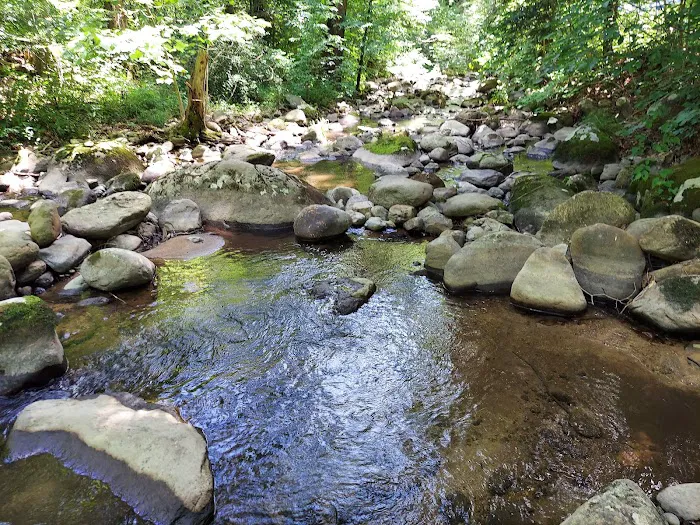 North Creek Campground 9