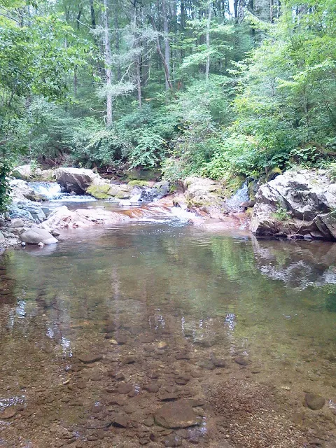 Colon Hollow Shelter Campground 1
