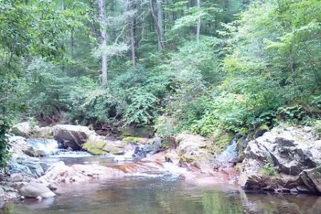 Colon Hollow Shelter Campground
