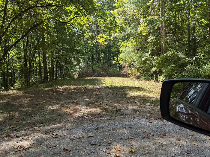 Colon Hollow Shelter Campground 2