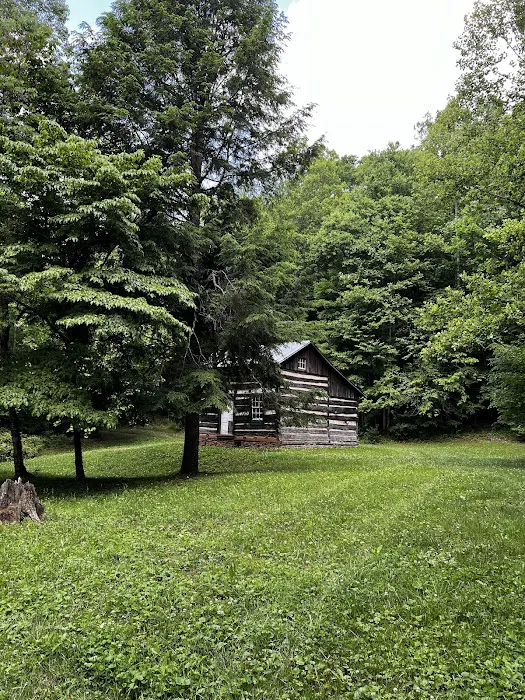 Colon Hollow Shelter Campground 3