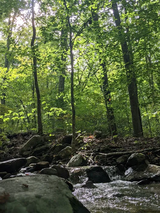 Hopper Creek Group Campground 2