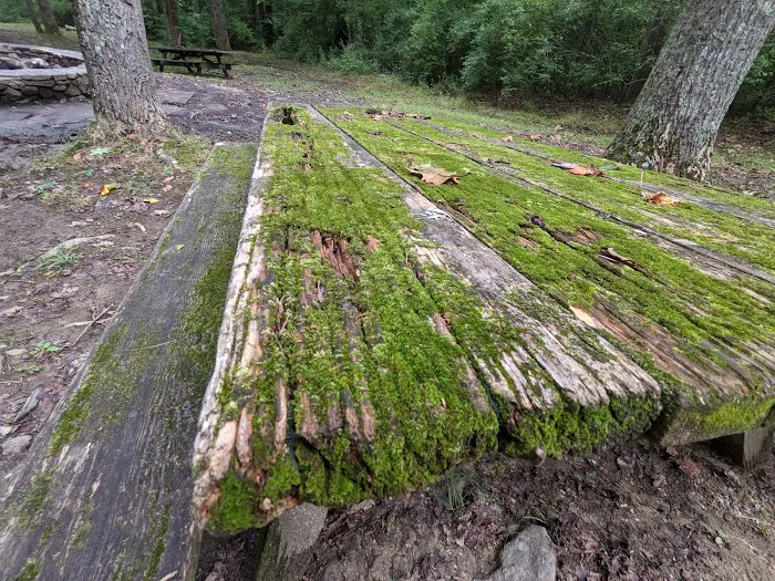 Hopper Creek Group Campground 6