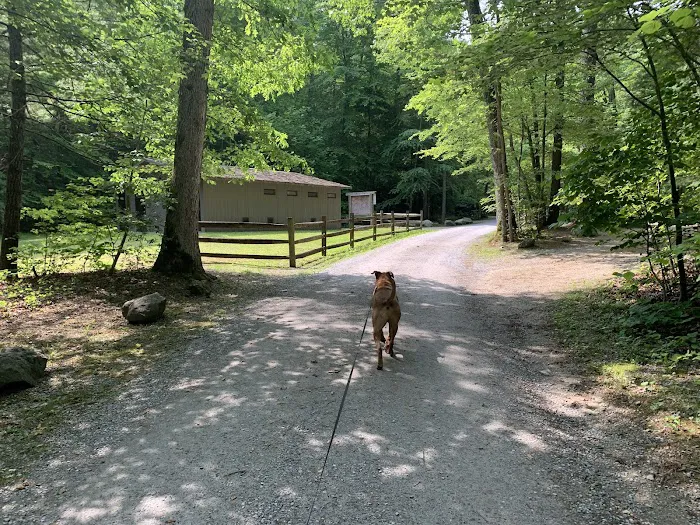 Cave Mountain Lake Campground 2