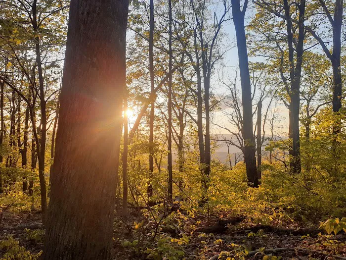 Cave Mountain Lake Campground 4