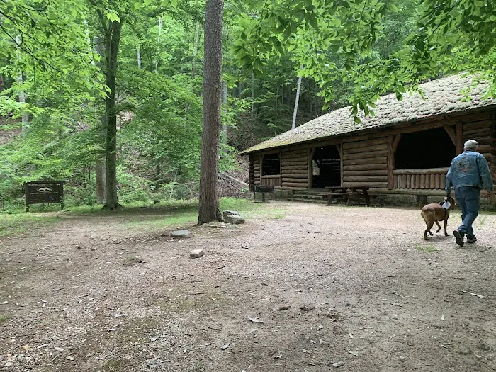 Cave Mountain Lake Campground 1