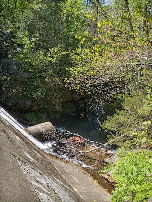 Cave Mountain Lake Campground 9
