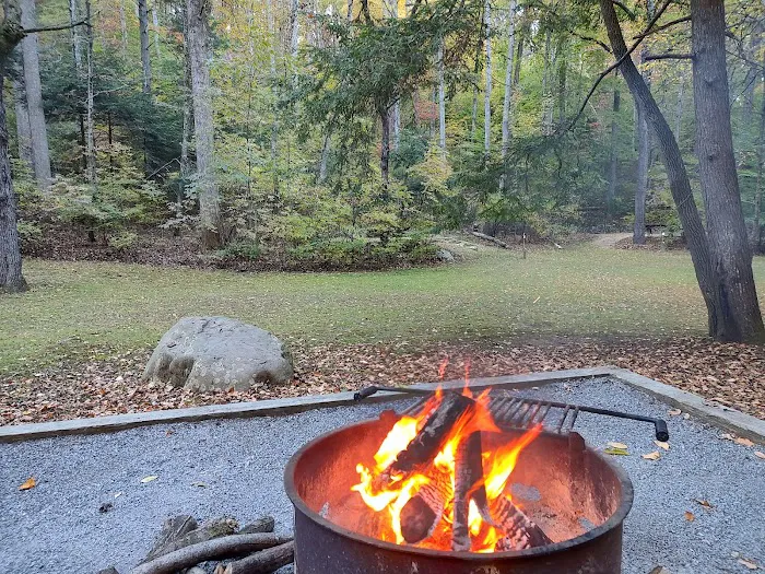 Cave Mountain Lake Campground 5