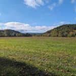 Back Run Paddle In Camp